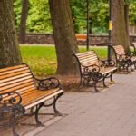 Rząd ławek parkowych pod drzewami