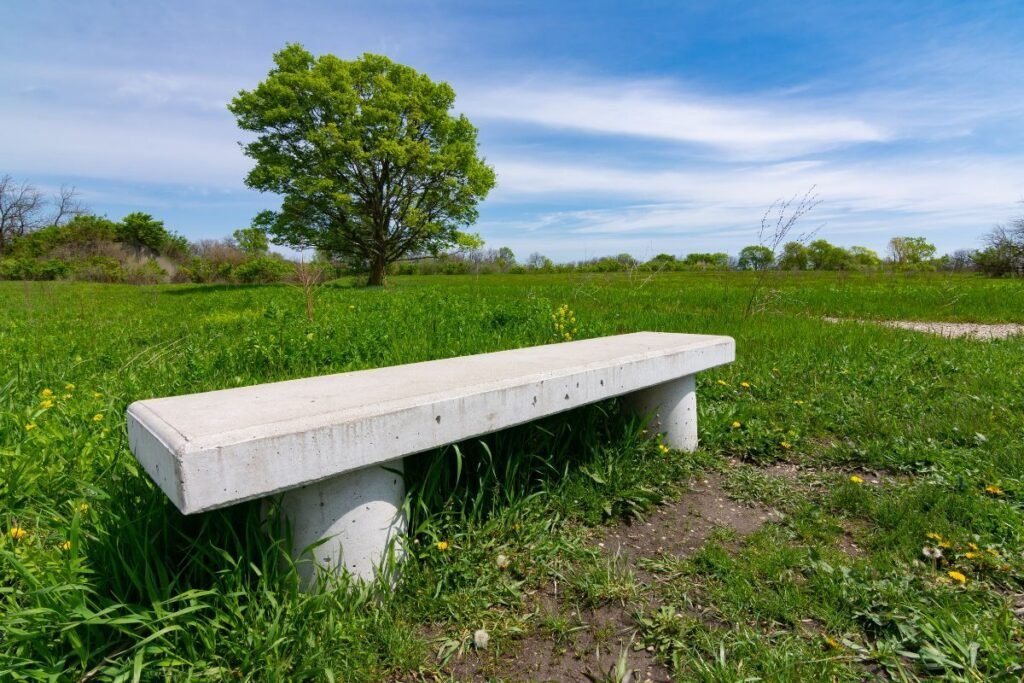 Betonowy akcent w naturze