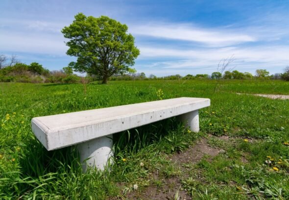 Betonowy akcent w naturze